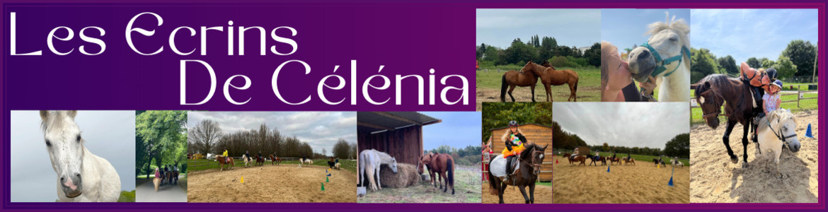 Les Écrins de Célénia